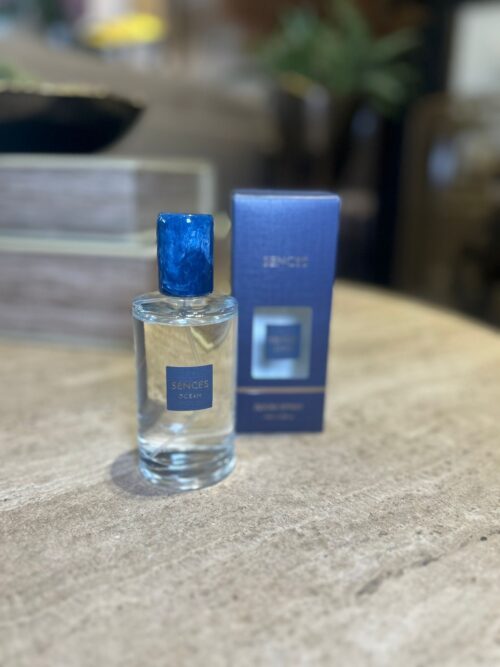 Vi1800.  Ocean Room Spray - Image 2