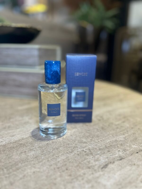 Vi1800.  Ocean Room Spray - Image 2