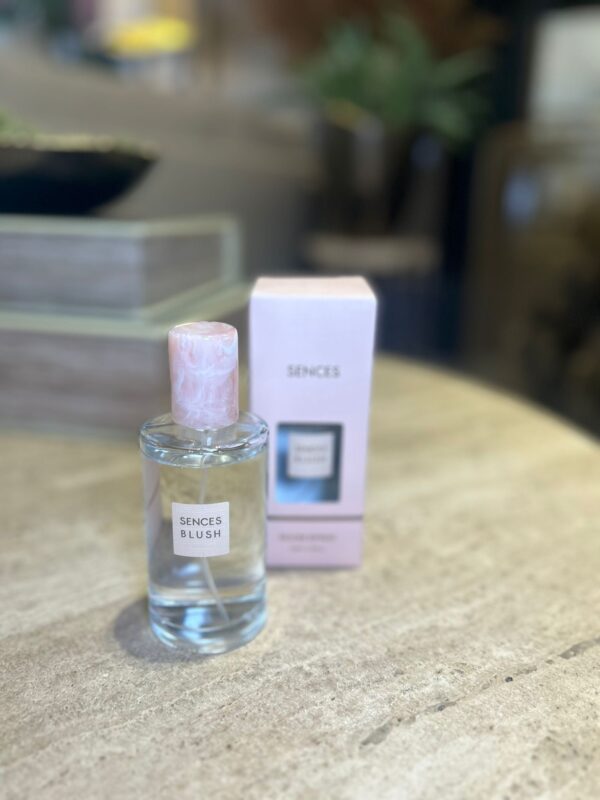 Vi1664 Blush Room Spray - Image 2