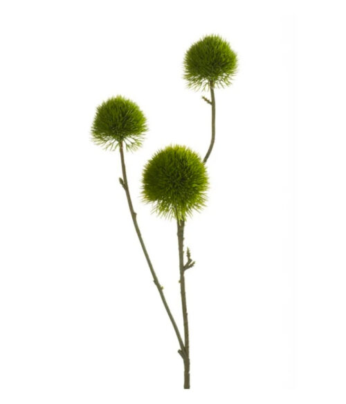 VIEM03...Green Dianthus Spray