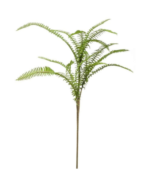 VIEM061...Fern Spray 60cm