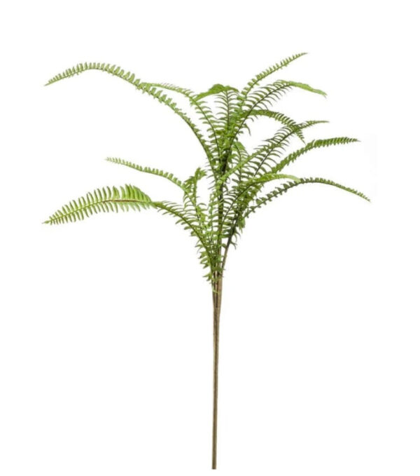 VIEM061...Fern Spray 60cm