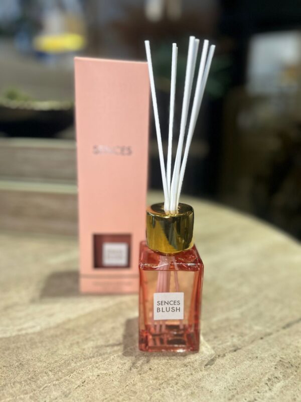 Vi1803.  Mini Blush Sences Diffuser - Image 3