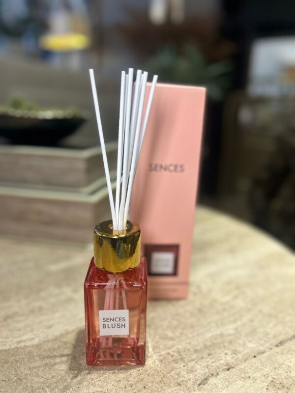 Vi1803.  Mini Blush Sences Diffuser - Image 2