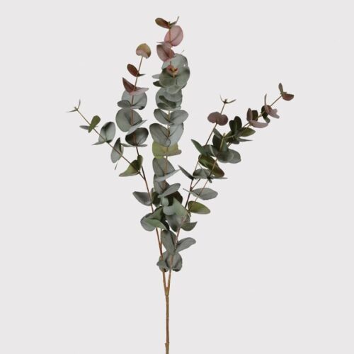 VI542.  Large Blush Eucalyptus Stem