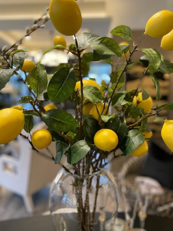 Vi989. Lemon Branch - Image 2