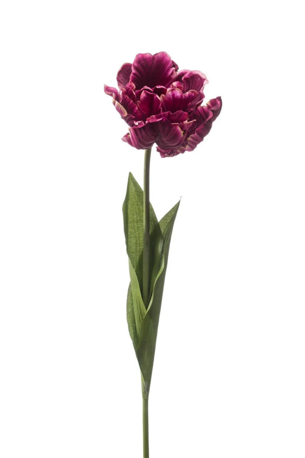 Viem053.   Dark Purple Tulip Paris Stem 66cm
