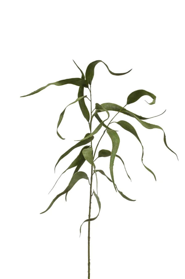 Viem037. Eucalptus Spray Green 80cm