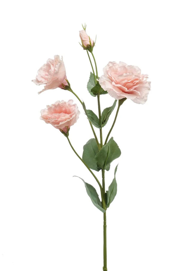 VIEM066...Eustoma Spray pink 68cm
