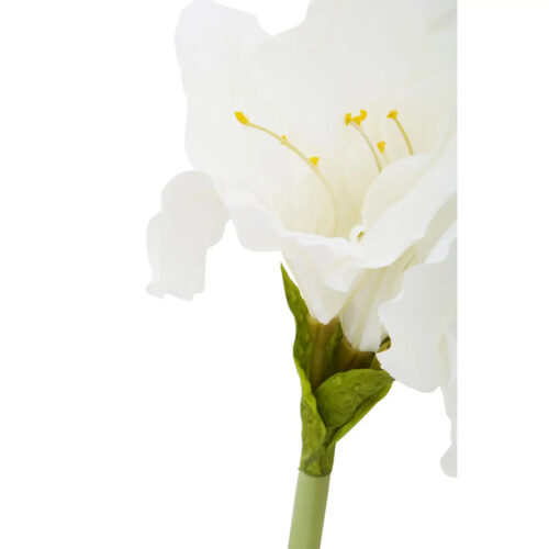 Ivory Amaryllis Stem 72cm - Image 2