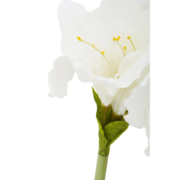 Ivory Amaryllis Stem 72cm - Image 2