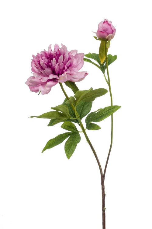 VIEM068.  Purple peony Sarah spray 73cm