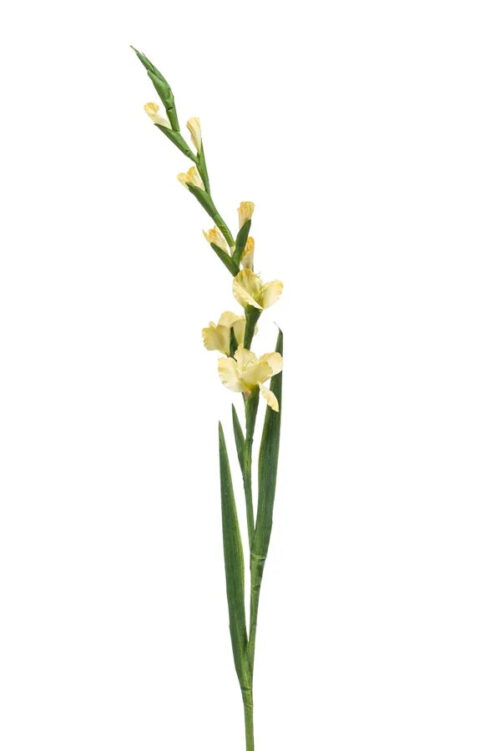 VIEM065....Gladiolus Spray In Yellow 128cm